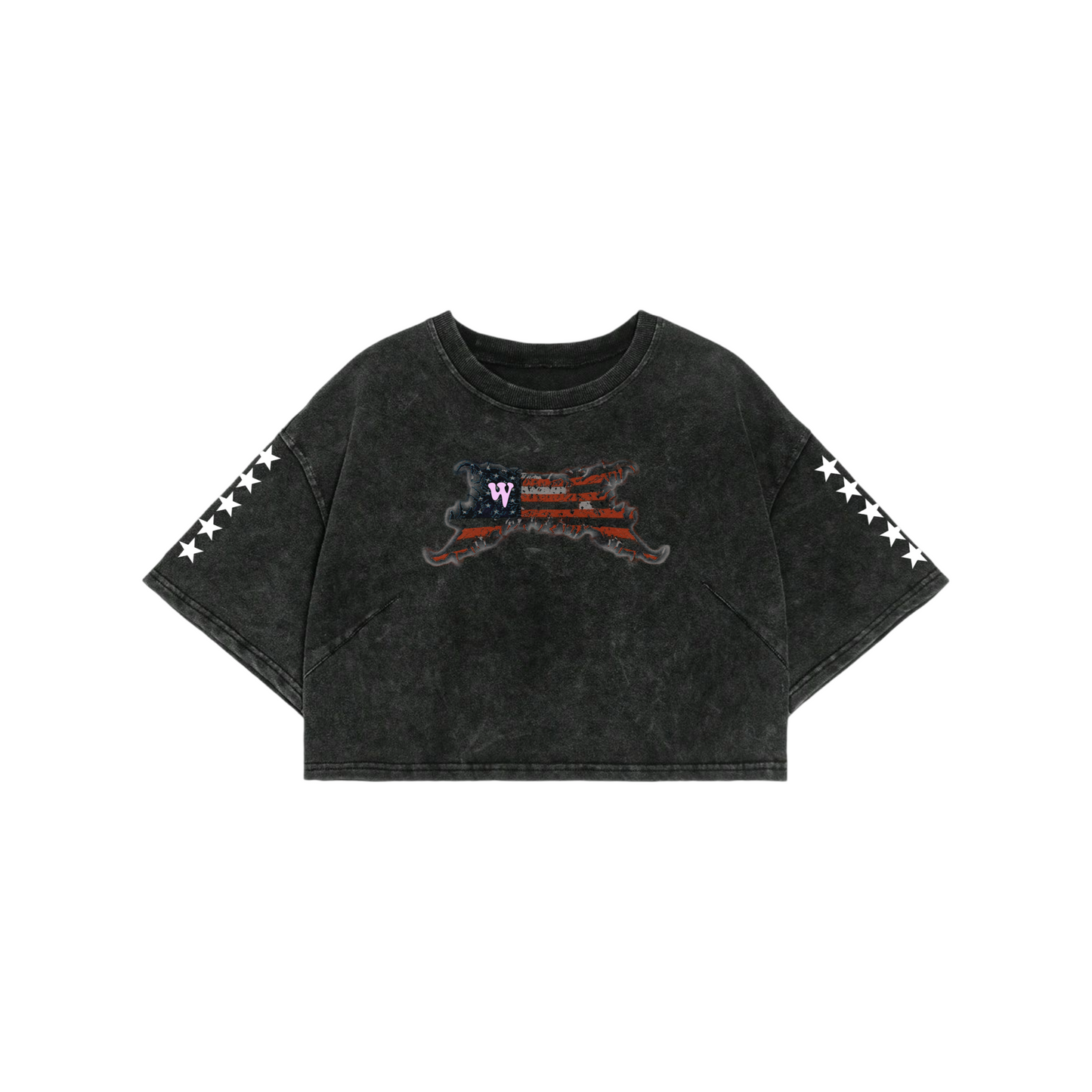 WARZ FLAG GRAPHIC CROP TOP