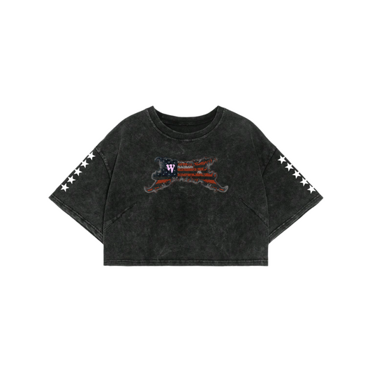 WARZ FLAG GRAPHIC CROP TOP